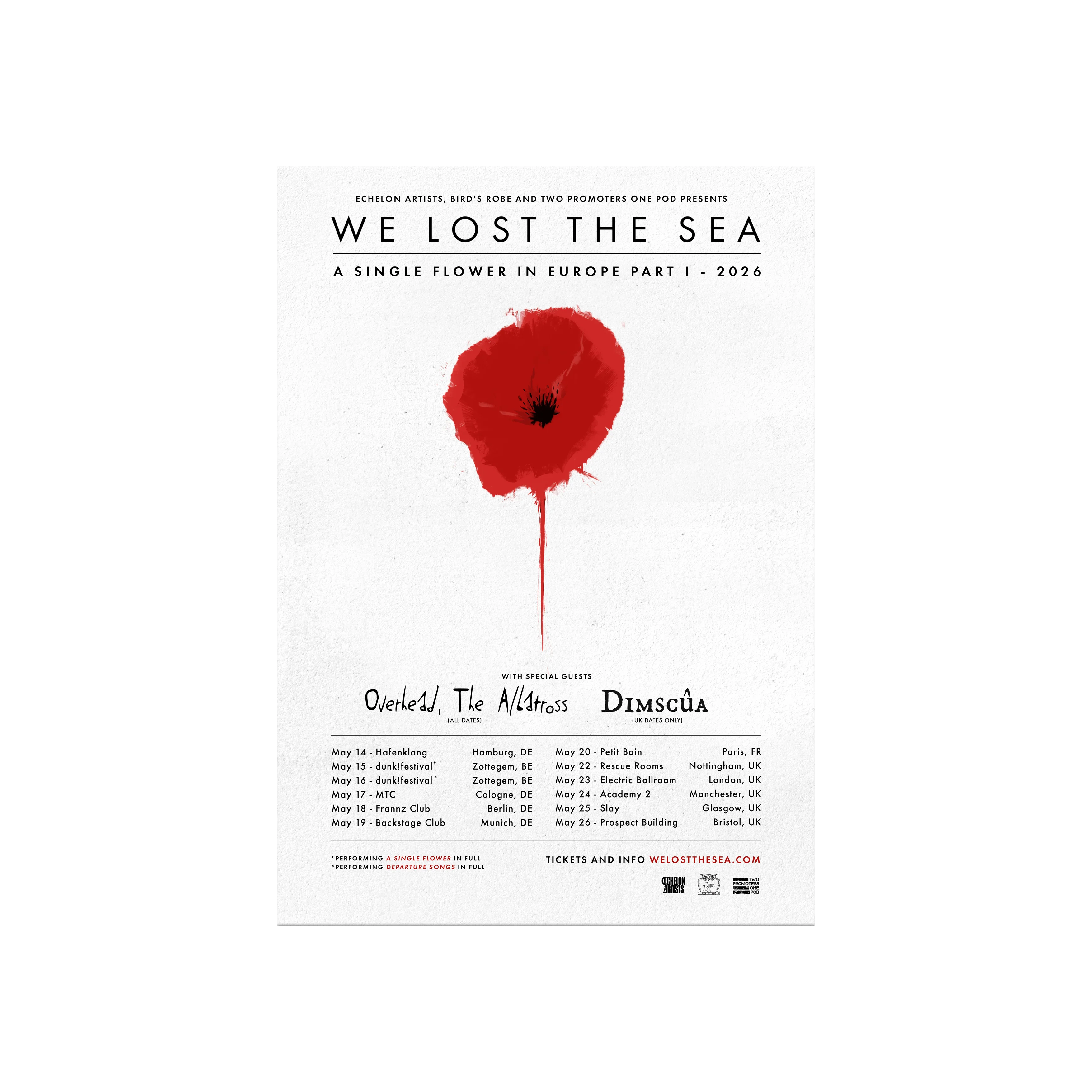WE LOST THE SEA - ACCESSORIES